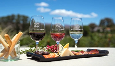 bodega nueve cumbres