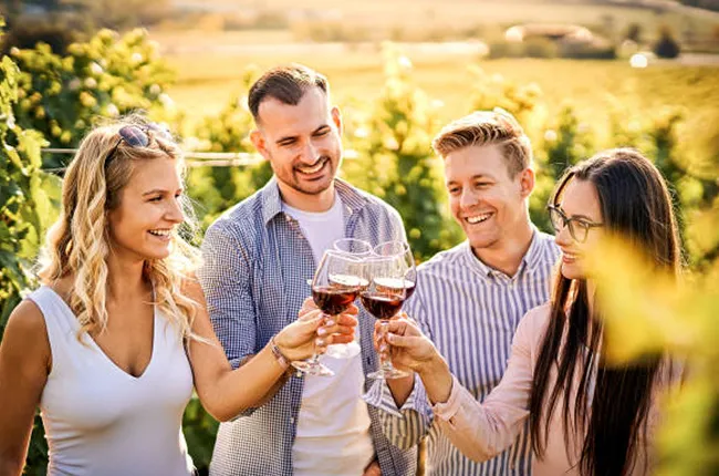 turistas disfrutando vino en viñedo