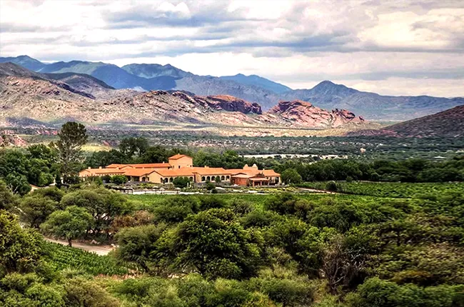 valles calchaquies bodega